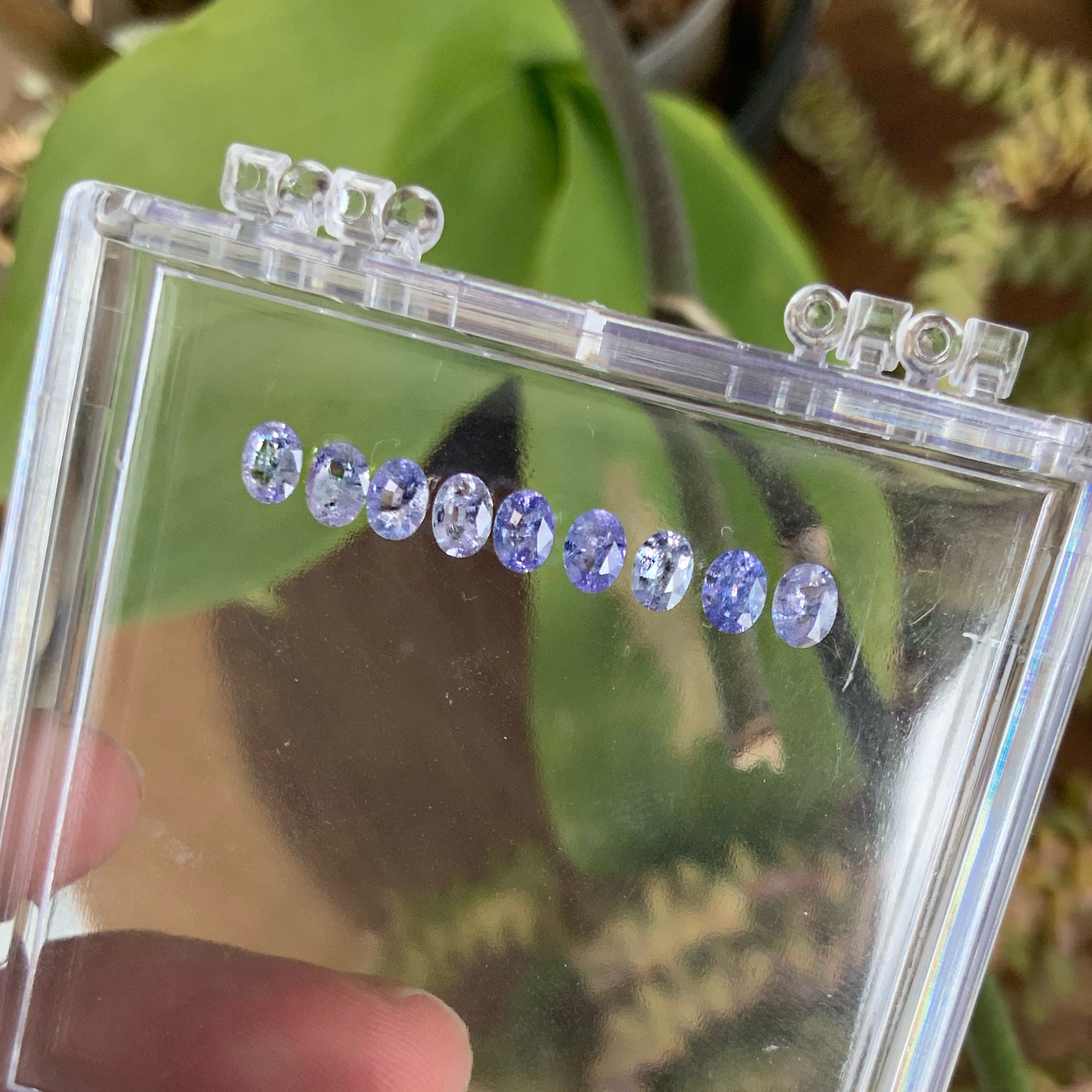 Media Churumbela de Tanzanitas Ovales Opalescentes