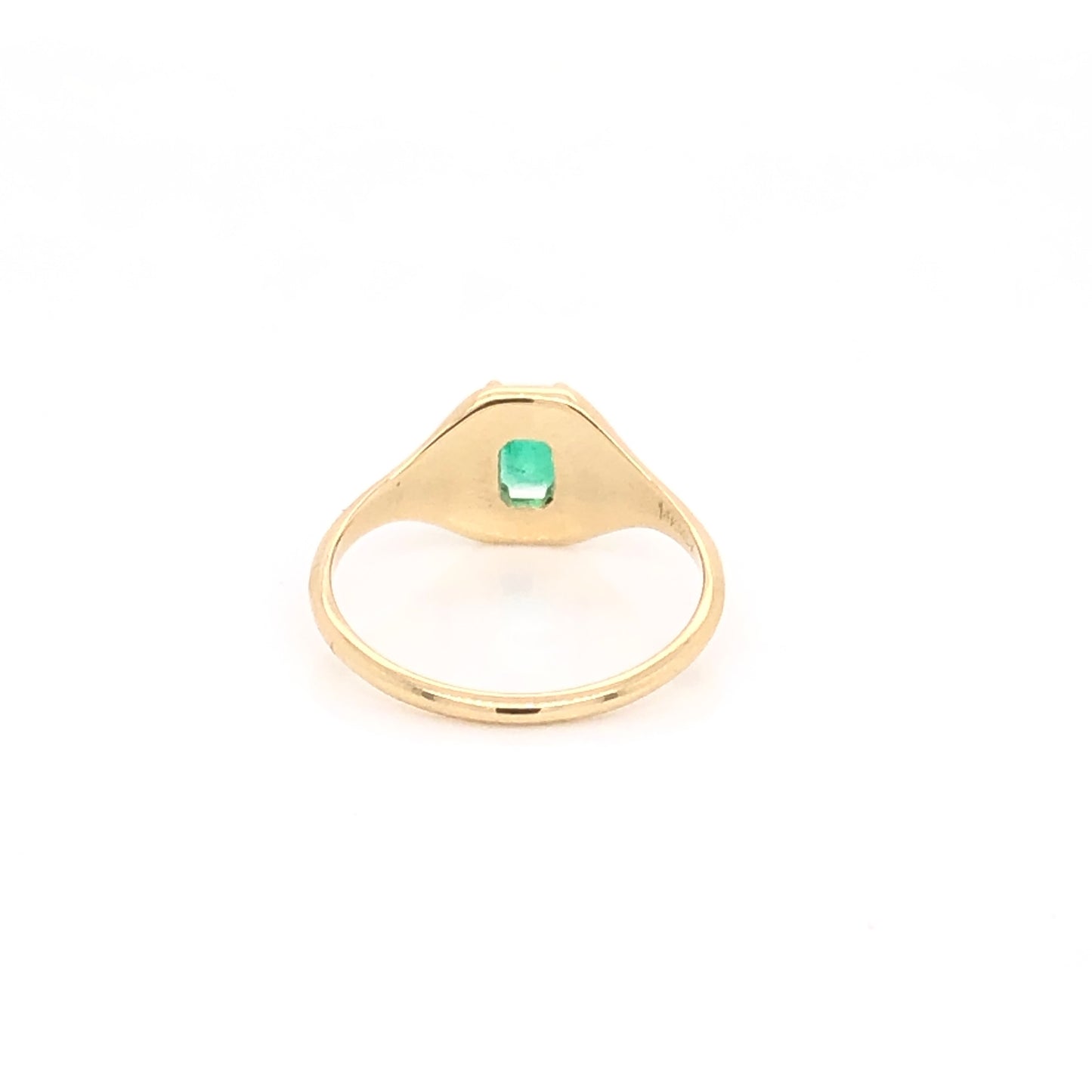 Michelle Ring