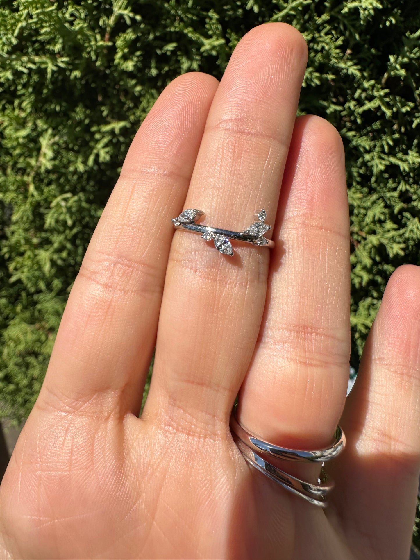 Anillo Graciela