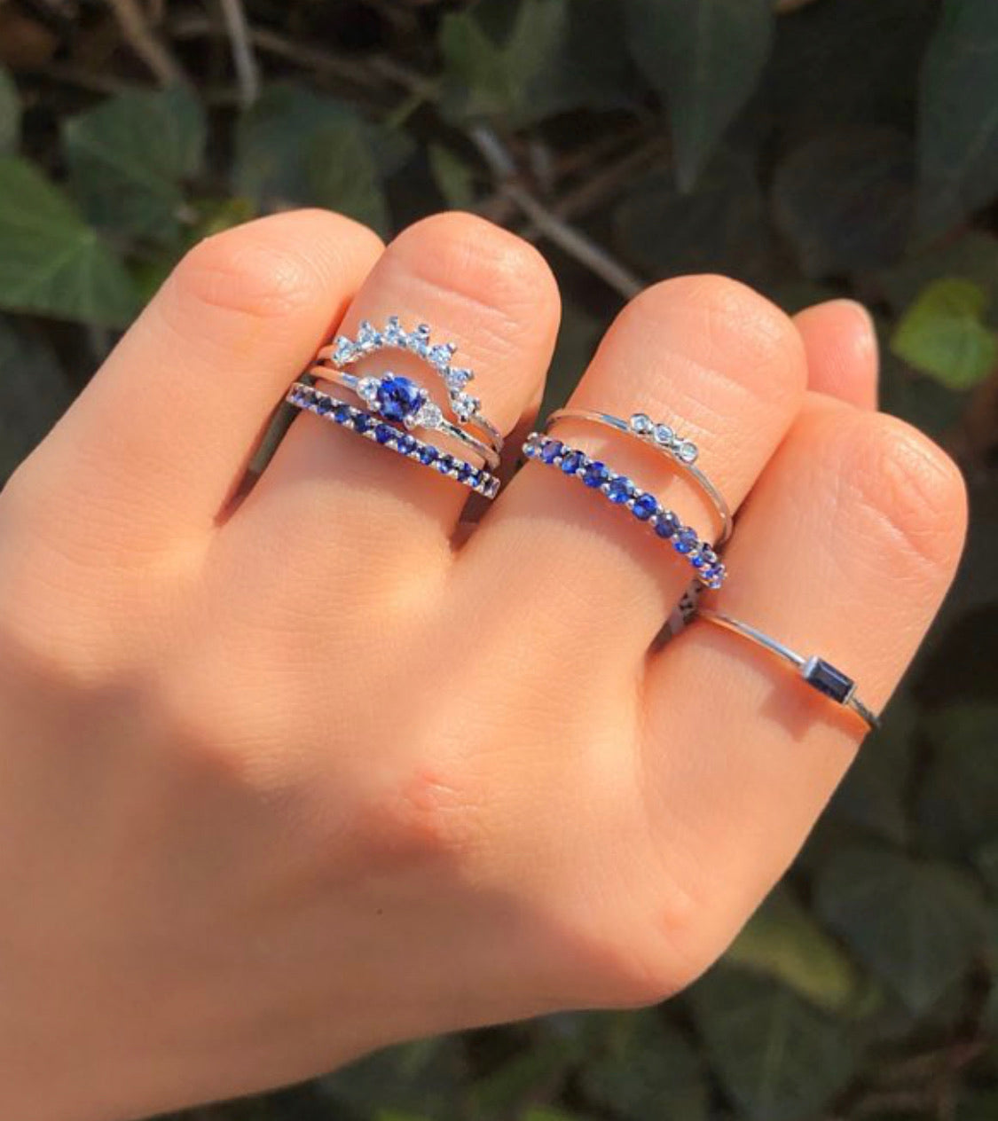 Media Churumbela Amelia