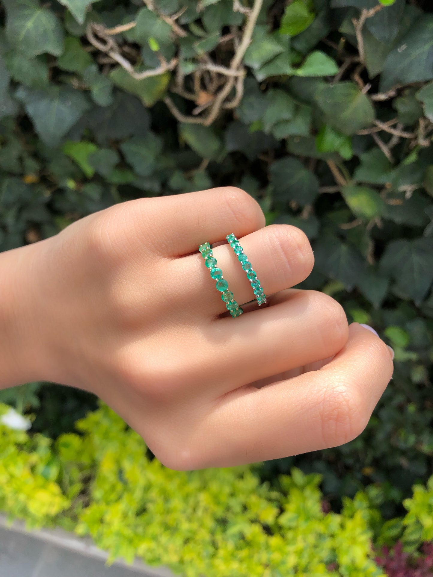 Media Churumbela Carola