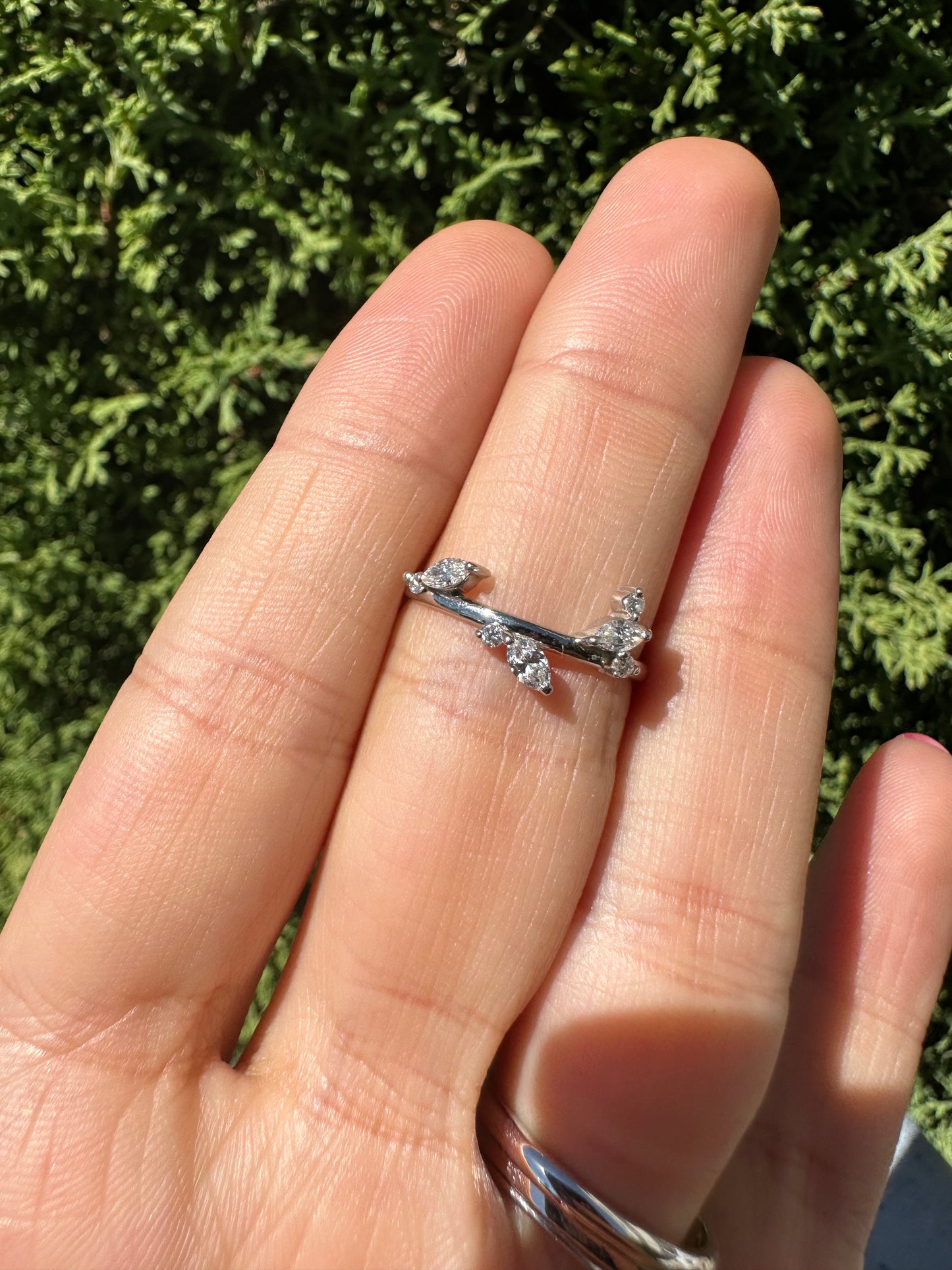 Anillo Graciela
