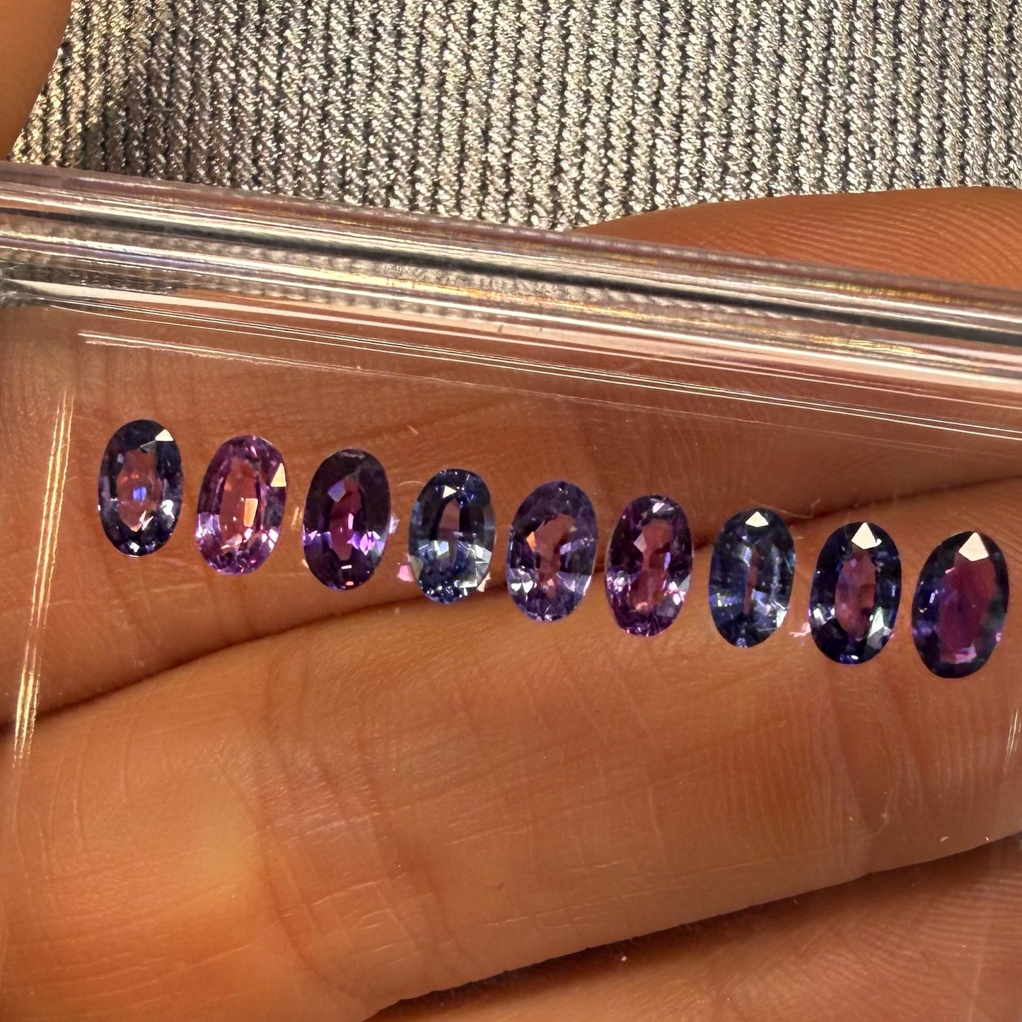 Media Churumbela Esther Zafiros Morados