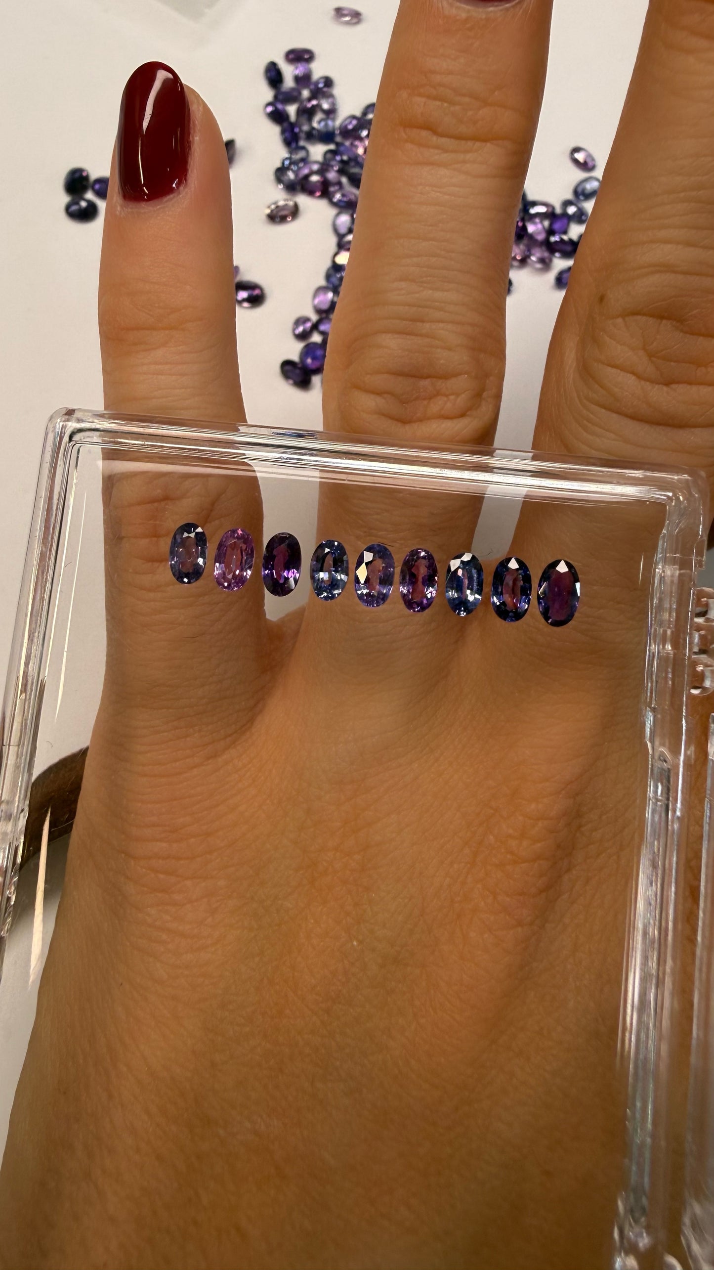 Media Churumbela Esther Zafiros Morados