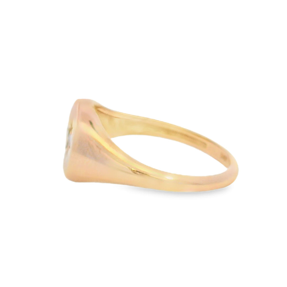 
                      
                        ENTREGA INMEDIATA / Anillo Sello de Estrella con Moonstone / Oro rosa 14K / Talla 6.5
                      
                    