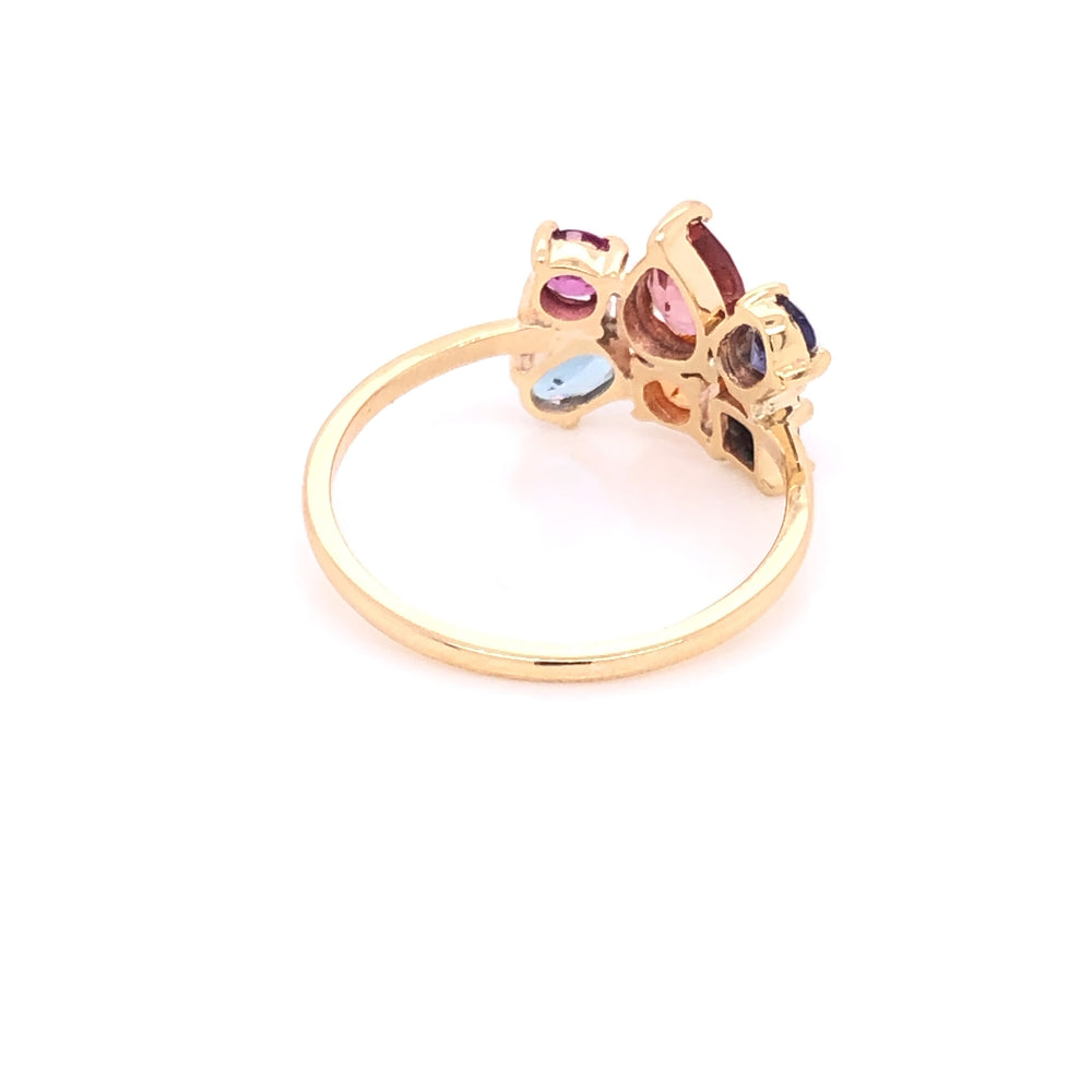 
                      
                        Anillo de Cluster (pieza única)
                      
                    
