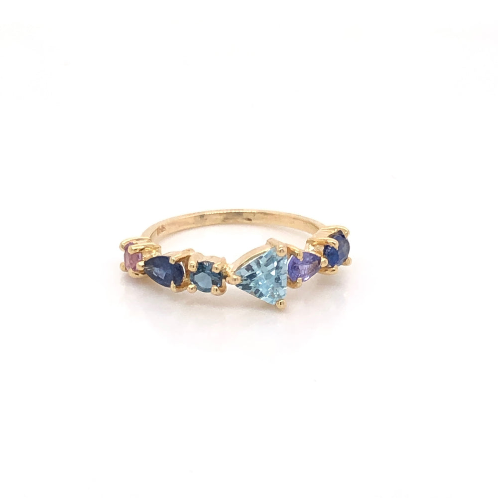 
                      
                        Multi Ring 1
                      
                    
