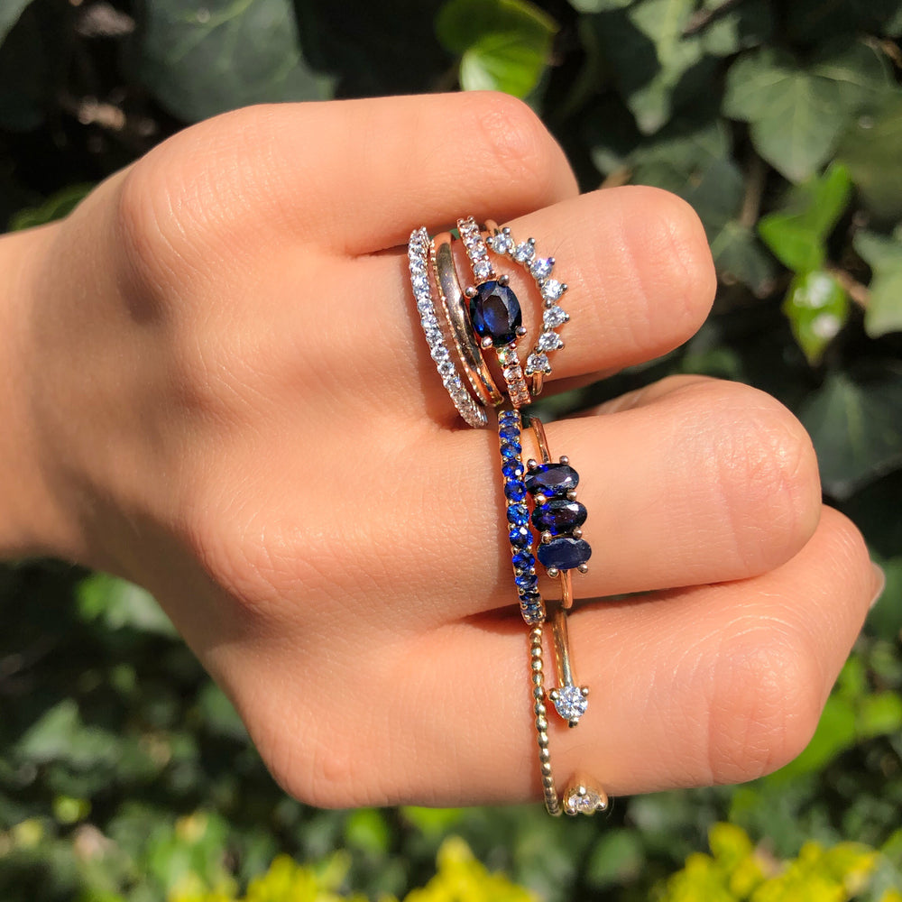 
                      
                        Anillo Arya
                      
                    