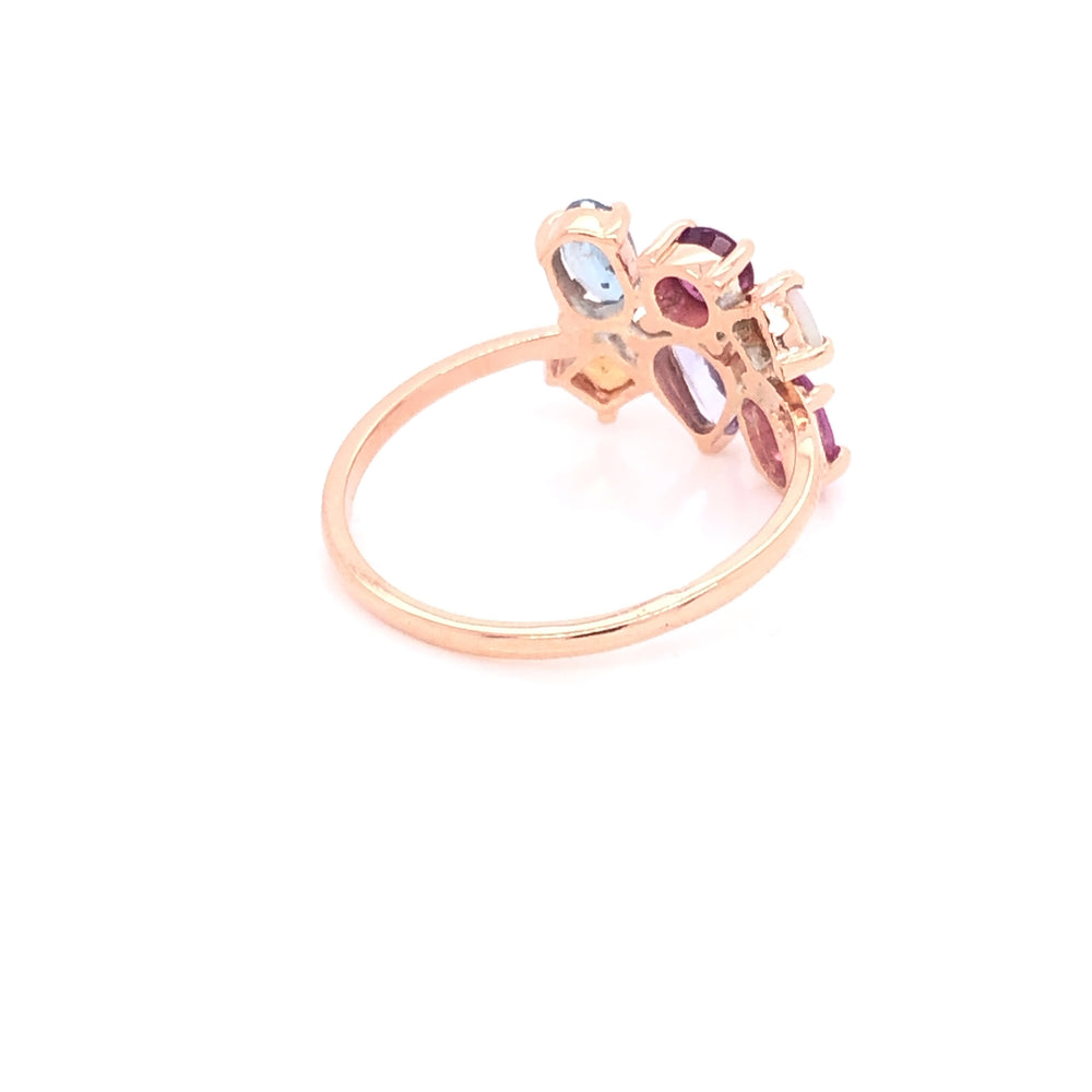 
                      
                        Anillo de Cluster de piedras preciosas (pieza única)
                      
                    