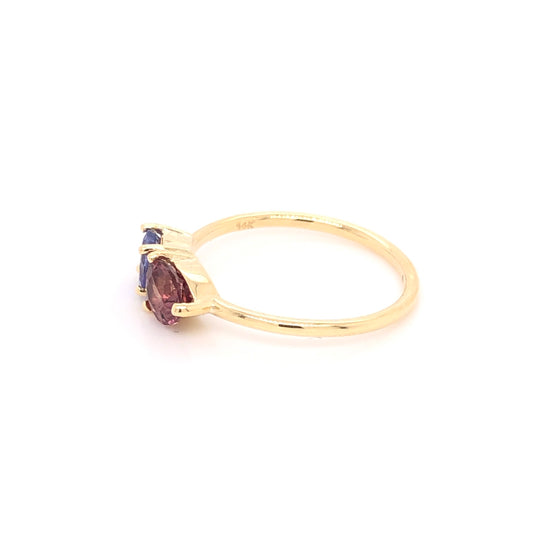 Garnet Ring with Tanzanite