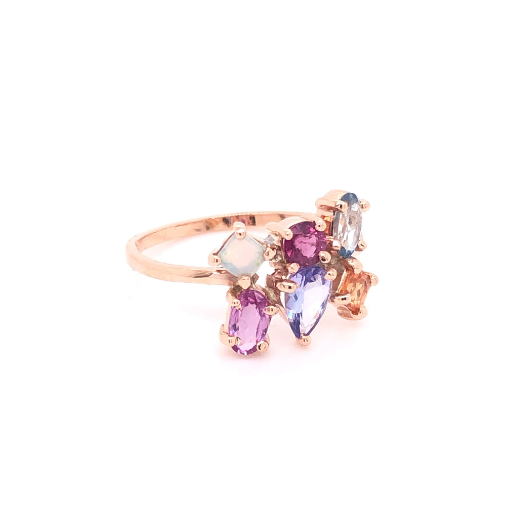 
                      
                        Anillo de Cluster de piedras preciosas (pieza única)
                      
                    