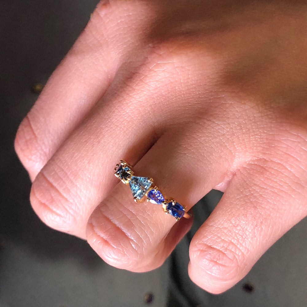 
                      
                        Multi Ring 1
                      
                    