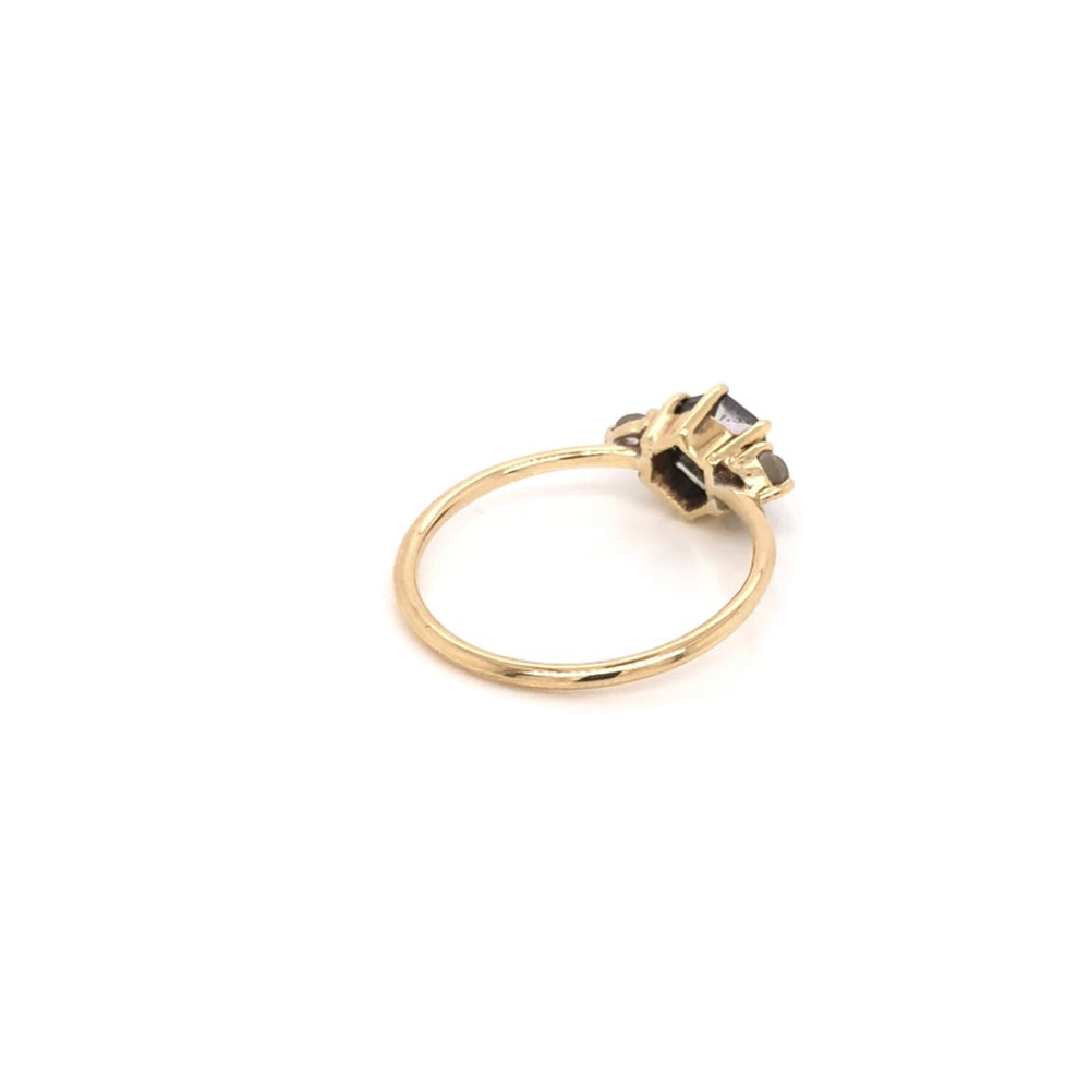 
                      
                        Hexagonal Salt and Pepper Diamond Ring with Side Salt and Pepper Diamonds
                      
                    