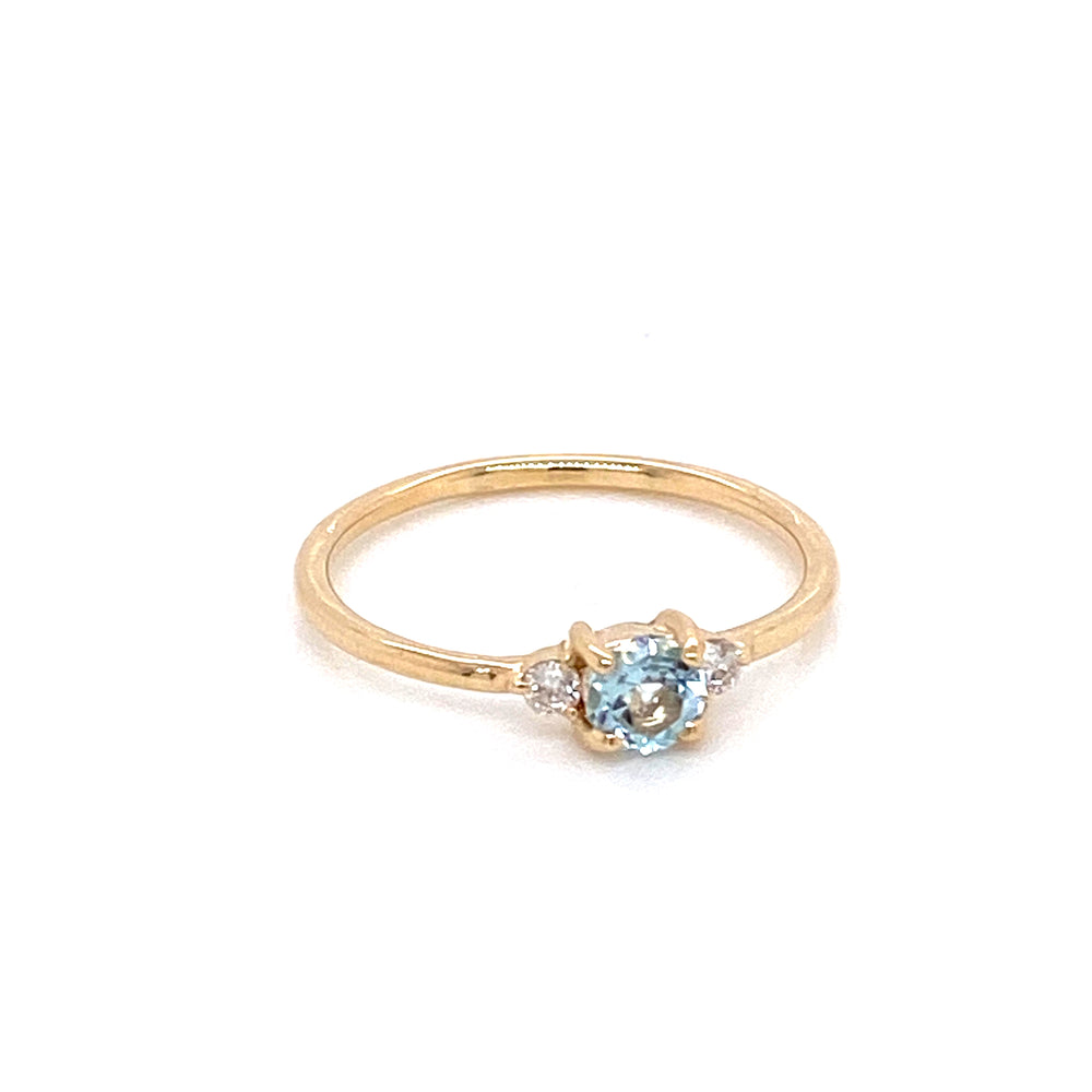 
                      
                        Anillo con piedra de mes
                      
                    