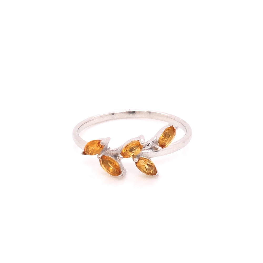
                      
                        Anillo Flora
                      
                    
